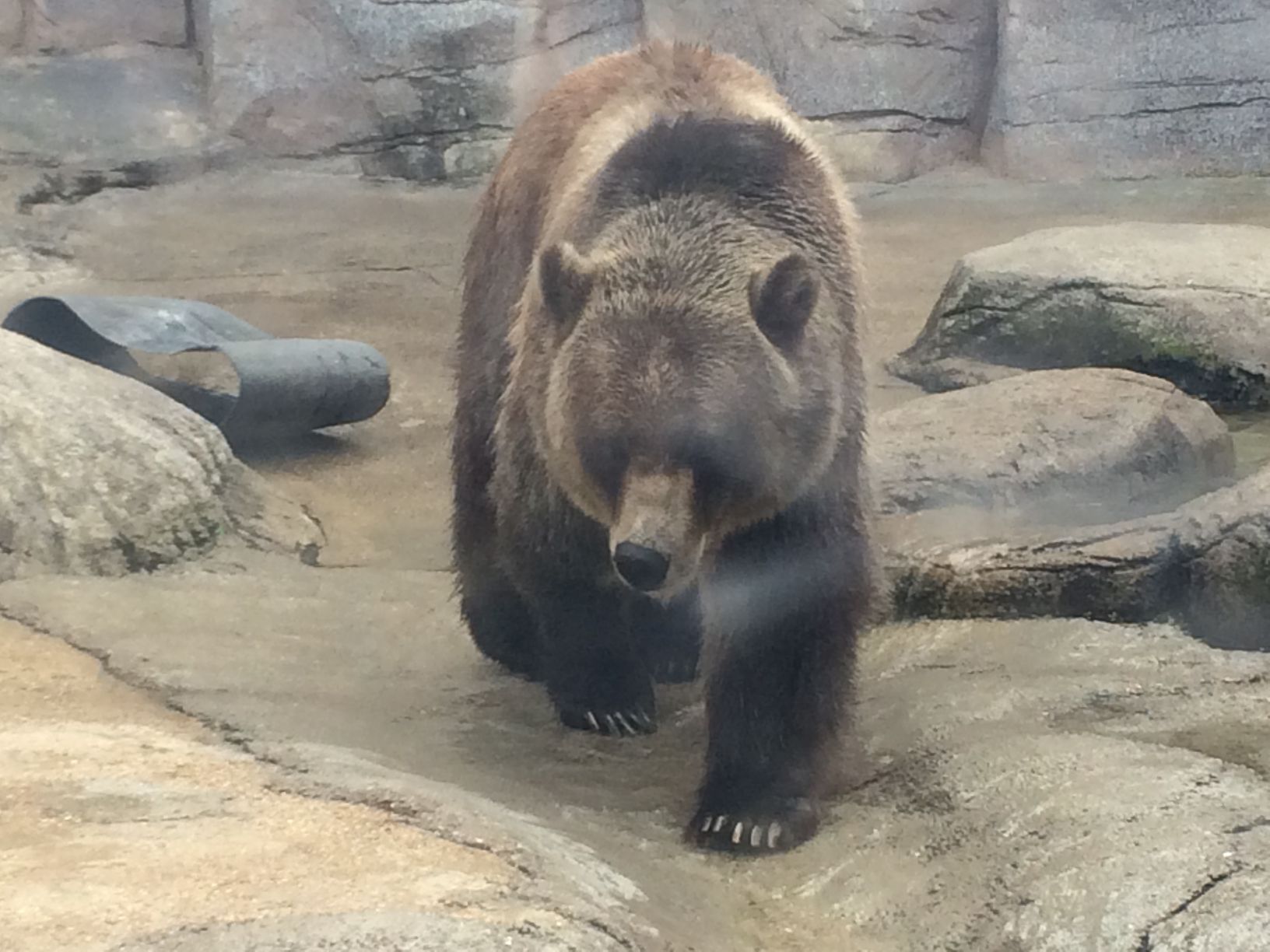 Washington Park Zoo